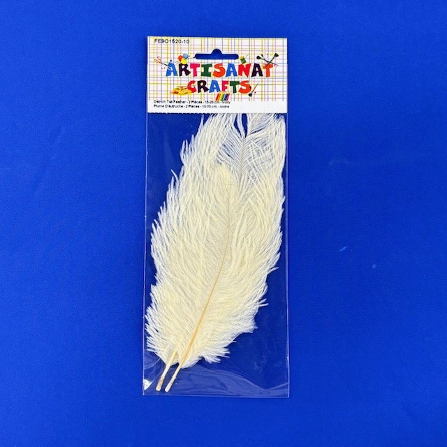 Ostrich Tail Feather, 15 - 20 Cm., 2 Pieces, Ivory
